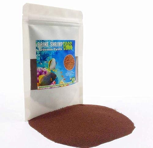 Brine Shrimp Eggs for Aquatic Foods Baby & Fry Foods The Popular 90% Hatch GSL Brine Shrimp Eggs