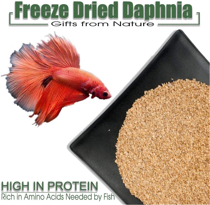 Freeze Dried Daphnia Fish Food for Betta, Neon, Guppy, Cichlid, Catfis ...
