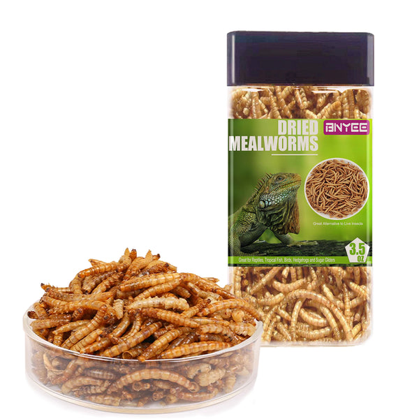 Reptile Food Dried Mealworms Pet Worms Food for Bearded Dragon, Lizard, Turtles, Chameleon, Monitor, Frog, Sugar Glider, Chickens, Birds, Hamsters and Hedgehogs