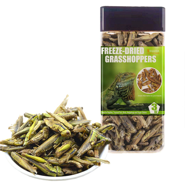 Freeze Dried Grasshopper Reptile Food for Turtles, Bearded Dragon, Hedgehog,Lizard, Chameleon, Birds